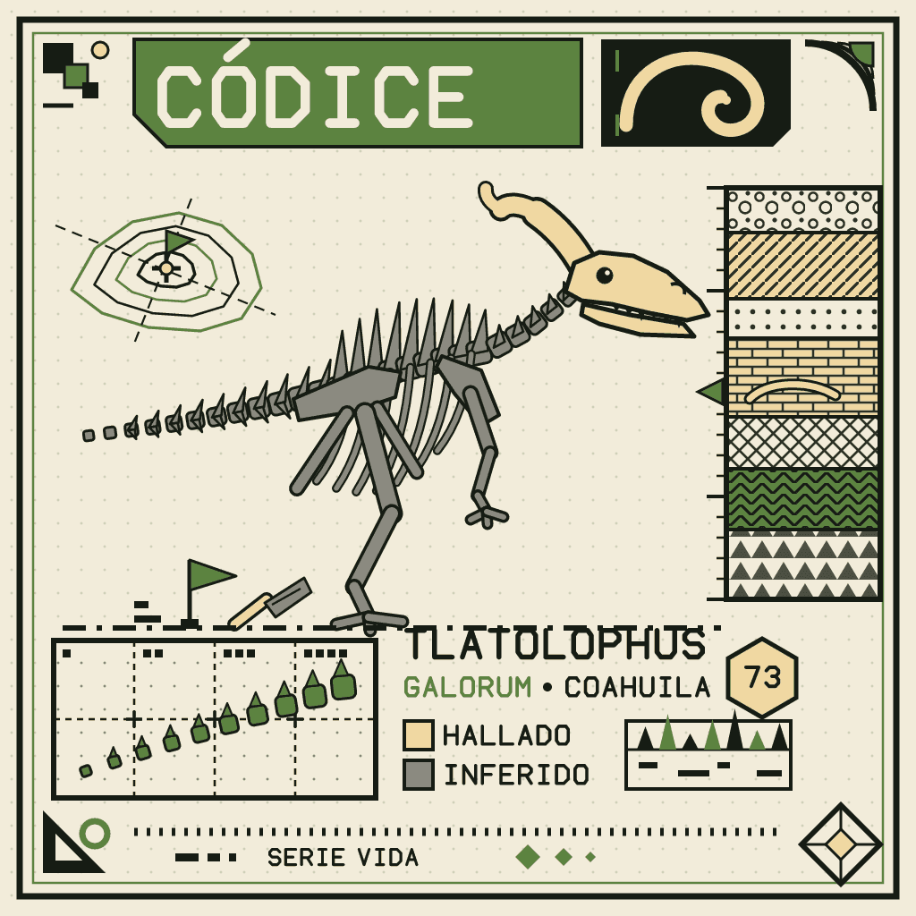 Dibujo de la tarjeta (aparecerá aquí al imprimir la versión final)